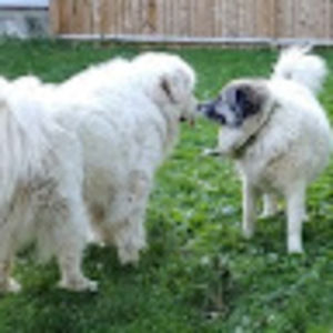 Meet your Posher, Christine